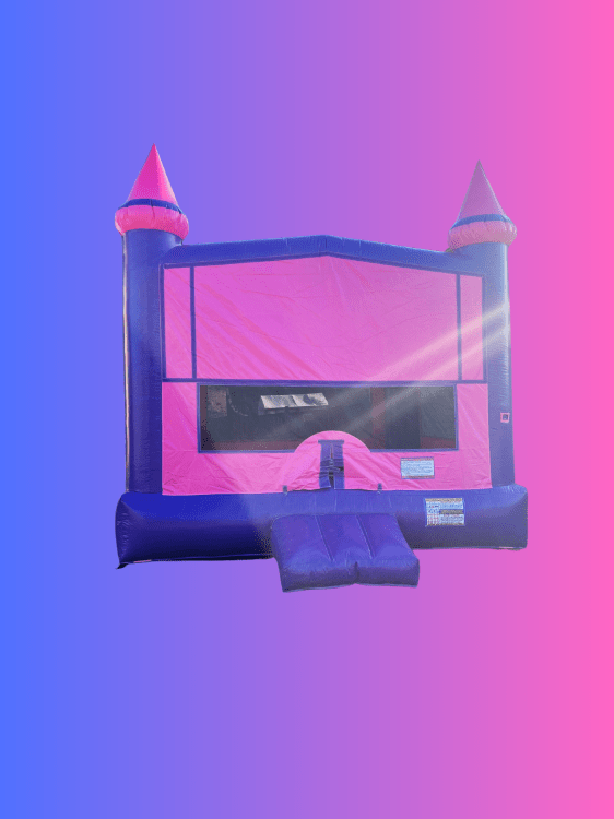 Elsa's castle